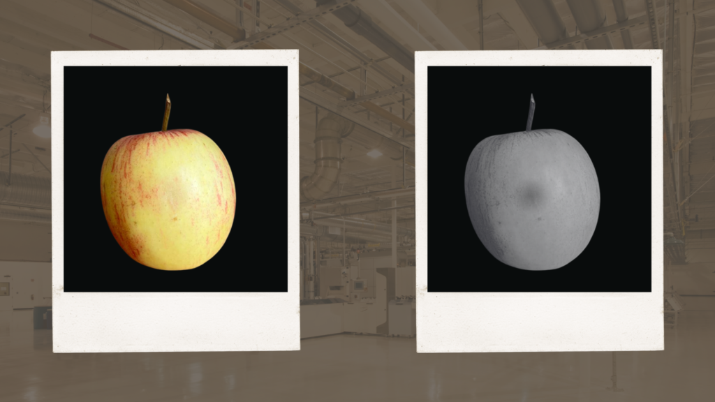 Hyperspectral Apple Scan