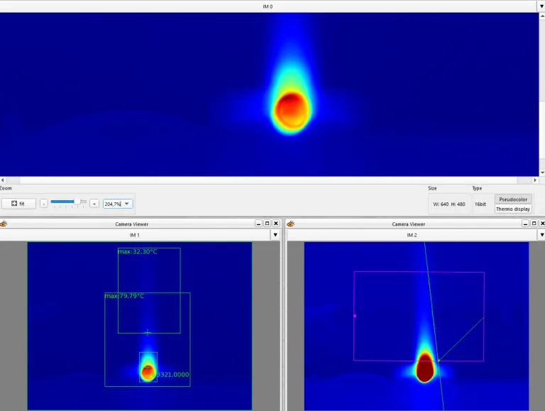 Flar inspection with thermal image processing